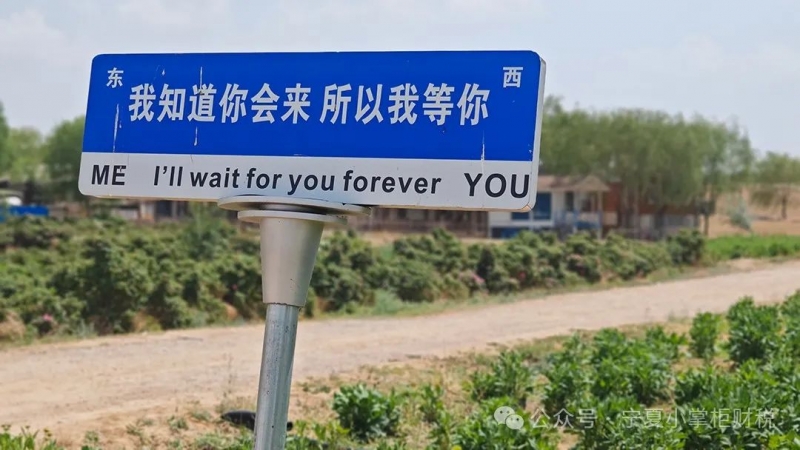 小掌柜財務(wù)員工歡聚薰衣草莊園，共享團隊拓展之旅
